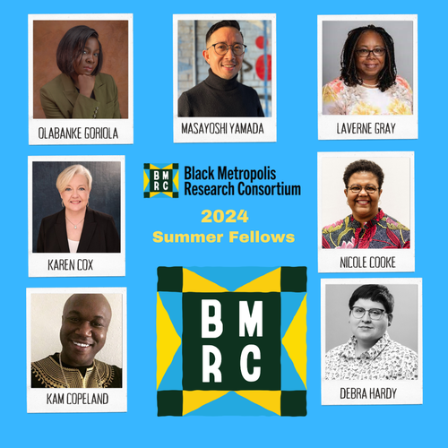 2024 BMRC Summer Fellows_collage with new logo