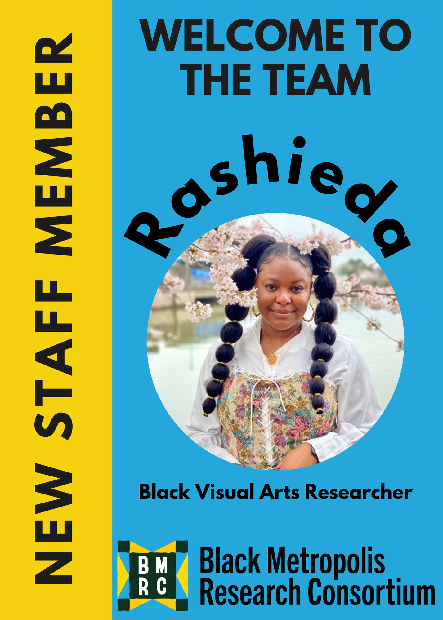 Black Visal Arts Researcher